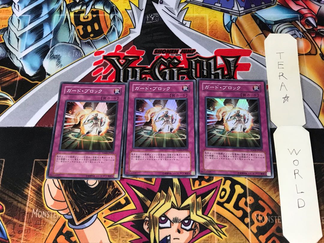 ガード・ブロック TDGS 2 スーパー 3枚セット てら