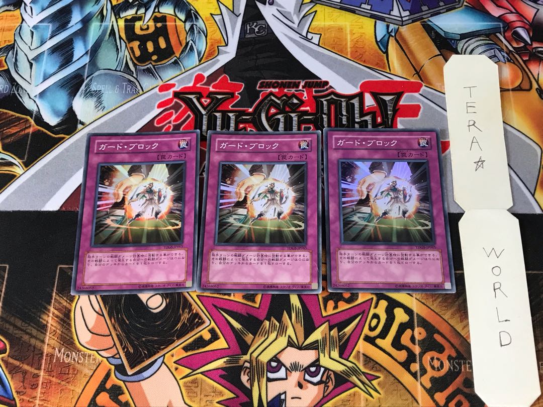 ガード・ブロック TDGS 3 スーパー 3枚セット てら