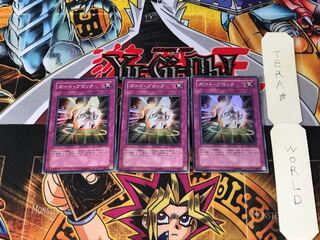 ガード・ブロック TDGS 3 スーパー 3枚セット てら