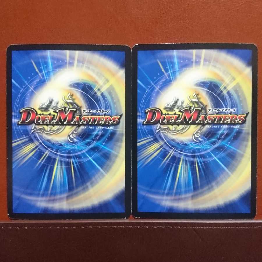 ドラゴンさん専用　セット割引 剛撃竜騎ヴィレム海舟