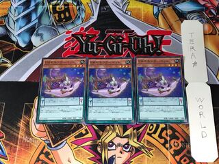 EMモモンカーペット ST16 2 スーパー 3枚セット てら