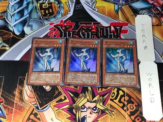 N・アクア・ドルフィン POTD 1 スーパー 3枚セット てら