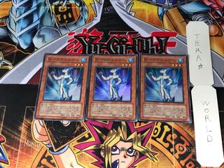 N・アクア・ドルフィン POTD 3 スーパー 3枚セット てら