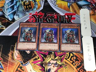 アマゾネス女王 DREV 2 スーパー 3枚セット てら