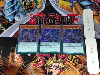 アモルファージ・イリテュム SHVI 1 スーパー 3枚セット てら