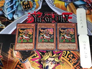 エヴォルテクター シュバリエ SD17 2 スーパー 3枚セット てら