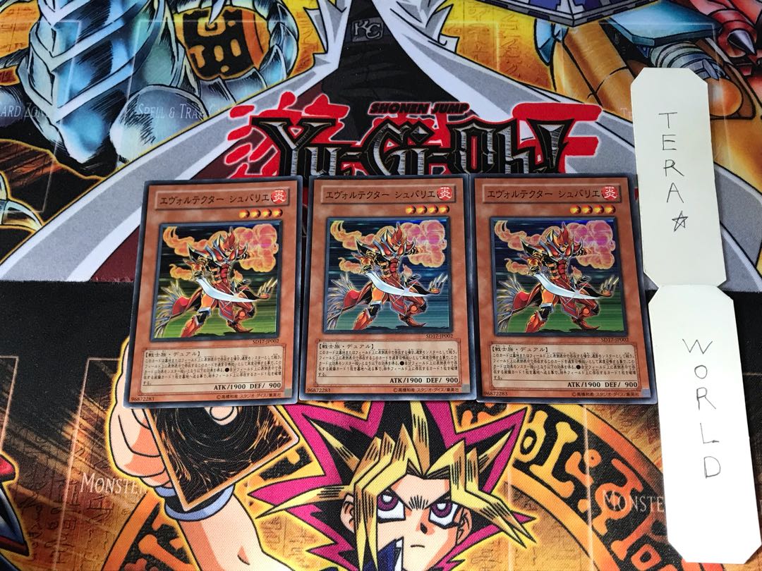 エヴォルテクター シュバリエ SD17 5 スーパー 3枚セット てら