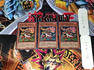 エヴォルテクター シュバリエ SD17 5 スーパー 3枚セット てら