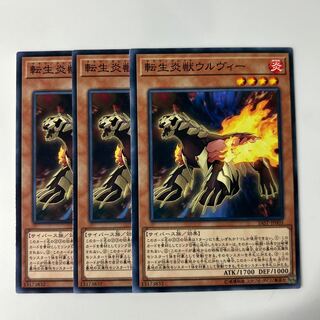 10034 Salamangreat Wolvie $6068