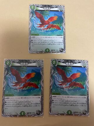 Birds of Paradise (Black Treasure) R T12/T20 (set of 3)