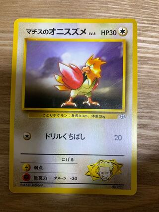 マチスのオニスズメ 旧裏