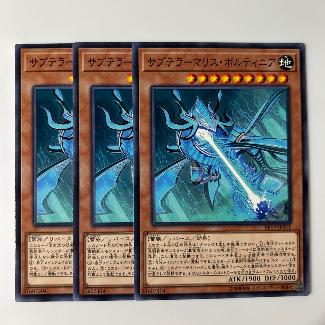 10056 サブテラーマリス・ボルティニア ノーマル JP011