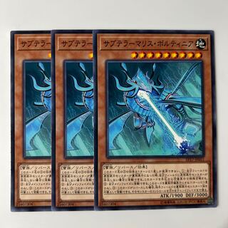 10056 サブテラーマリス・ボルティニア ノーマル JP011