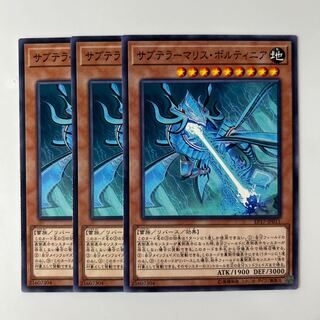 10057 サブテラーマリス・ボルティニア ノーマル JP011