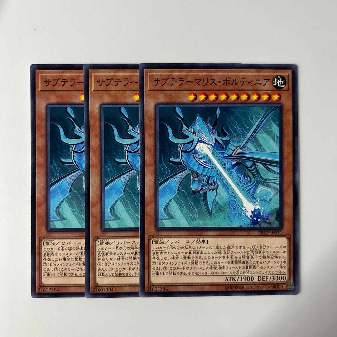 10058 サブテラーマリス・ボルティニア ノーマル JP011