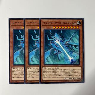 10058 サブテラーマリス・ボルティニア ノーマル JP011