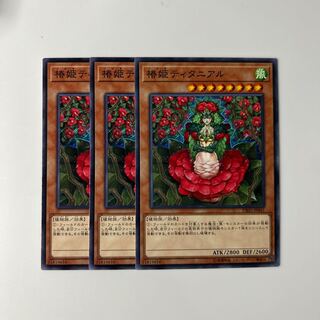 10059 Tytannial, Princess of Camellias $6100