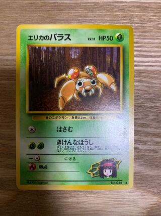 エリカのパラス