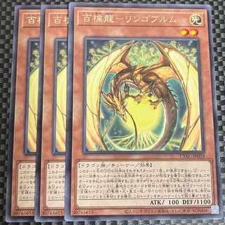 鮭イクラ商店 1957 百檎龍-リンゴブルム レア JP029