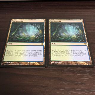 霧深い雨林/Misty Rainforest 2枚