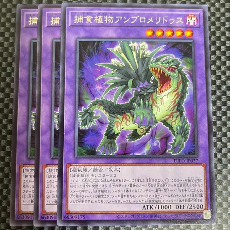 Salmon Salmonid Store 2093 Prey Upon Plant Ambromeridus Rare JP037