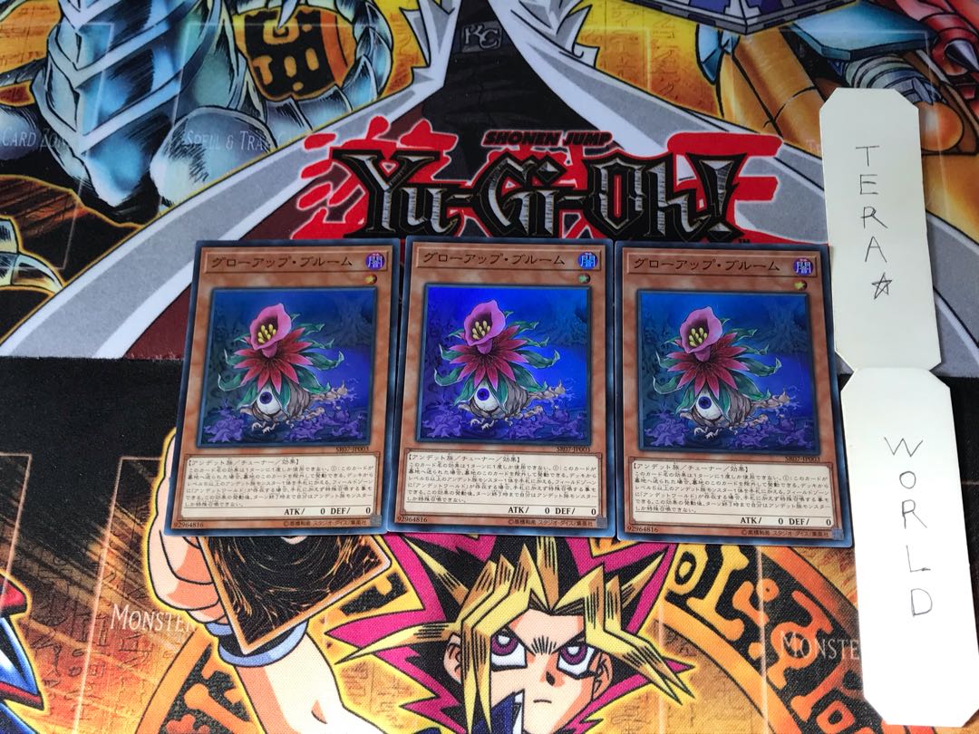 Glow-Up Bloom SR07 1 Super Set of 3 Tera