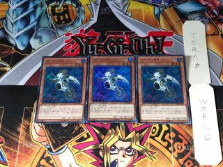 シーアーカイバー SD33 1 スーパー 3枚セット てら