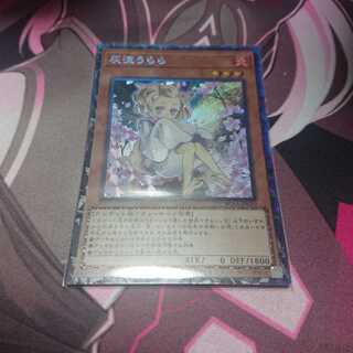 コレクターズレア 灰流うらら