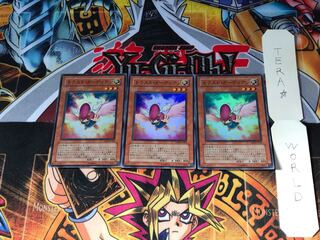 トラスト・ガーディアン TSHD 1 スーパー 3枚セット てら