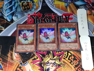 トラスト・ガーディアン TSHD 2 スーパー 3枚セット てら