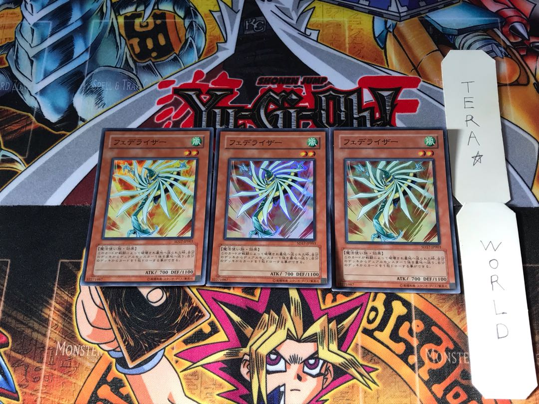 フェデライザー SD17 1 スーパー 3枚セット てら