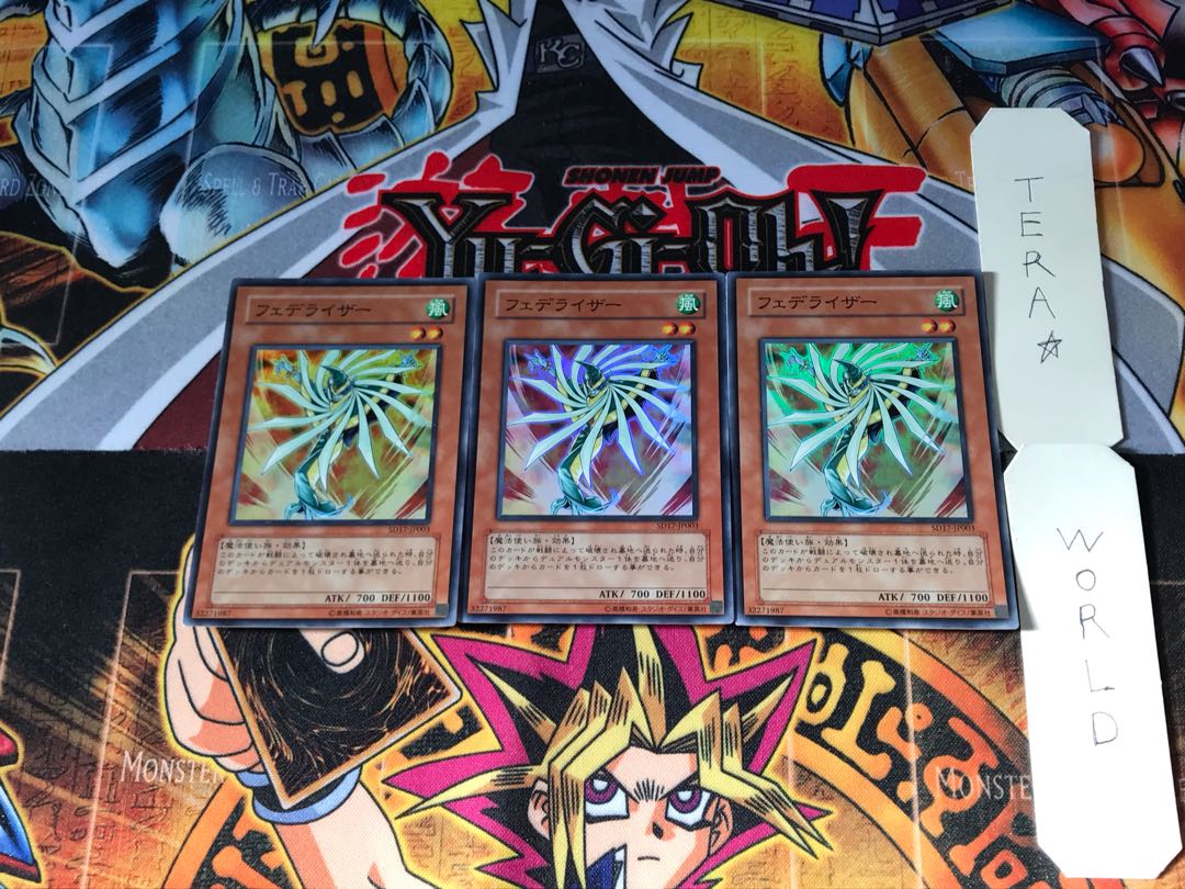 フェデライザー SD17 3 スーパー 3枚セット てら