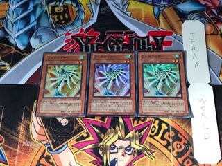 フェデライザー SD17 3 スーパー 3枚セット てら