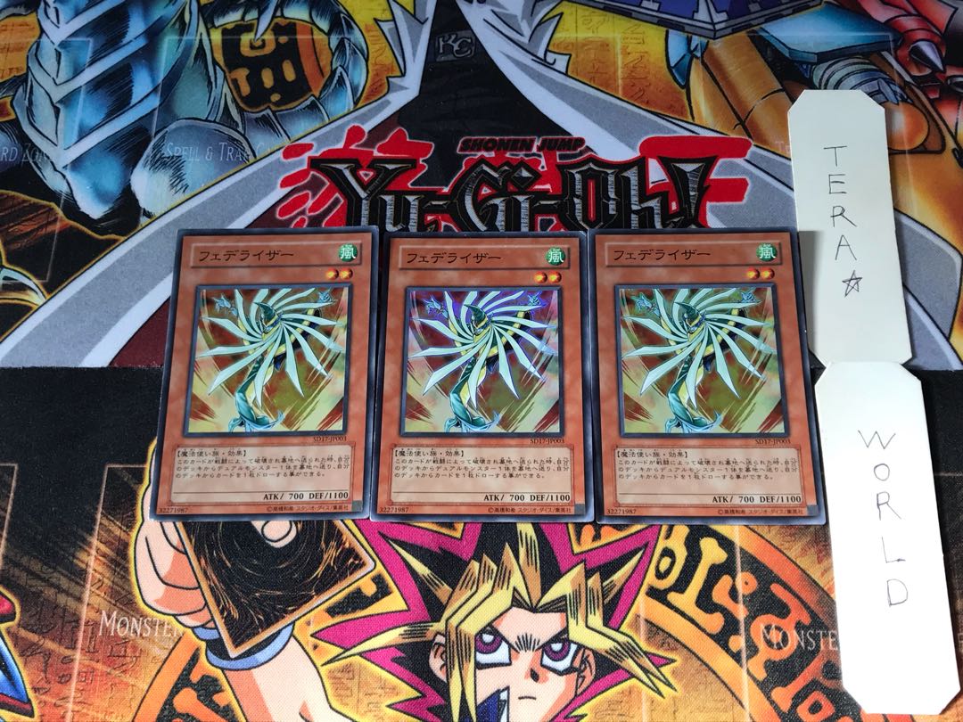 フェデライザー SD17 5 スーパー 3枚セット てら