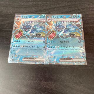 Gyaradosex RR 014/078 2 copies