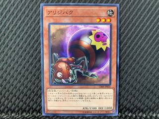 Agonouchi] Yu-Gi-Oh! Self-Destruct Ant Normal
