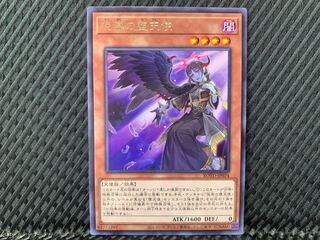 Agonouchi] Yu-Gi-Oh Indulged Darklord Rare