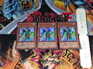 ローズ・バード TSHD 1 スーパー 3枚セット てら