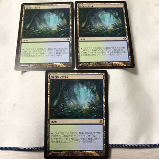 霧深い雨林　ゼンディカー日本語３枚セット