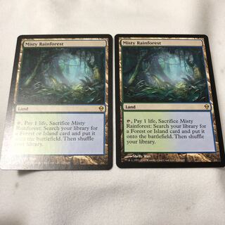 霧深い雨林　英語２枚セット