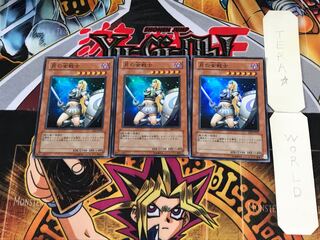 Penumbral Soldier Lady EE3 2 Super Set of 3 Tera