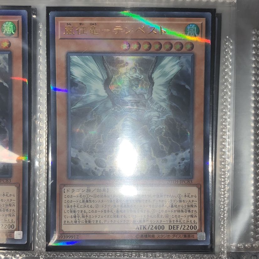 嵐征竜 テンペスト ×2