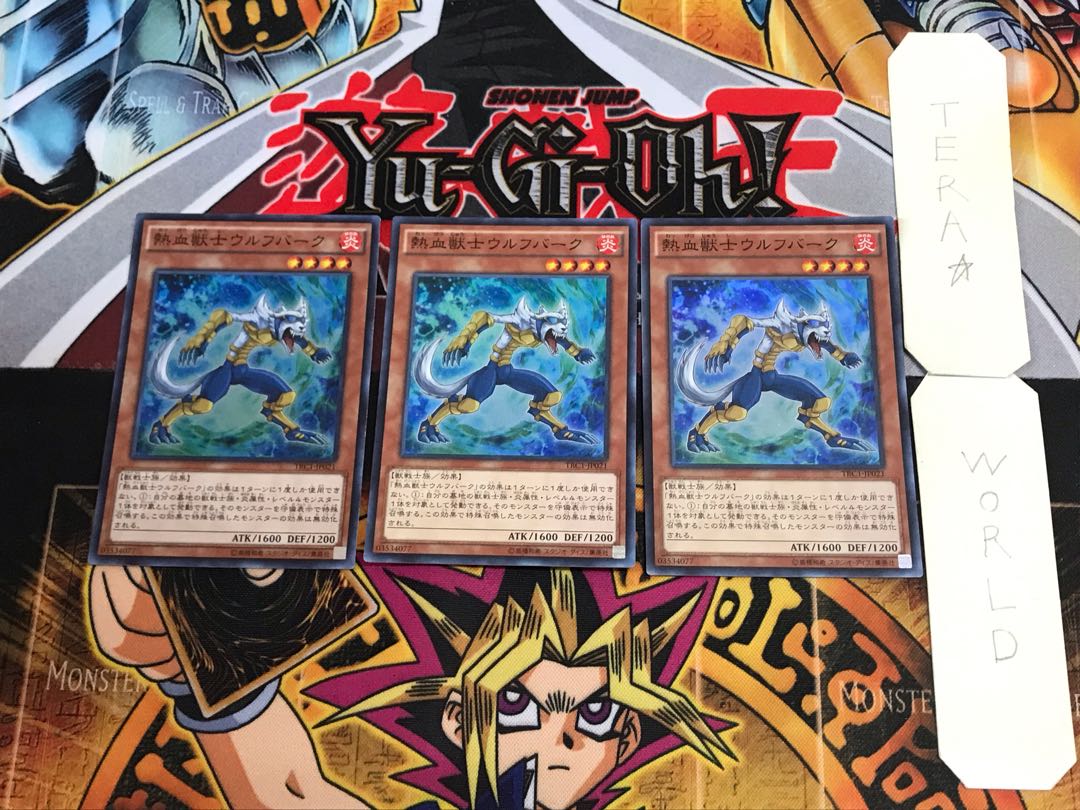 Coach Soldier Wolfbark TRC1 1 Super Set of 3 Tera.