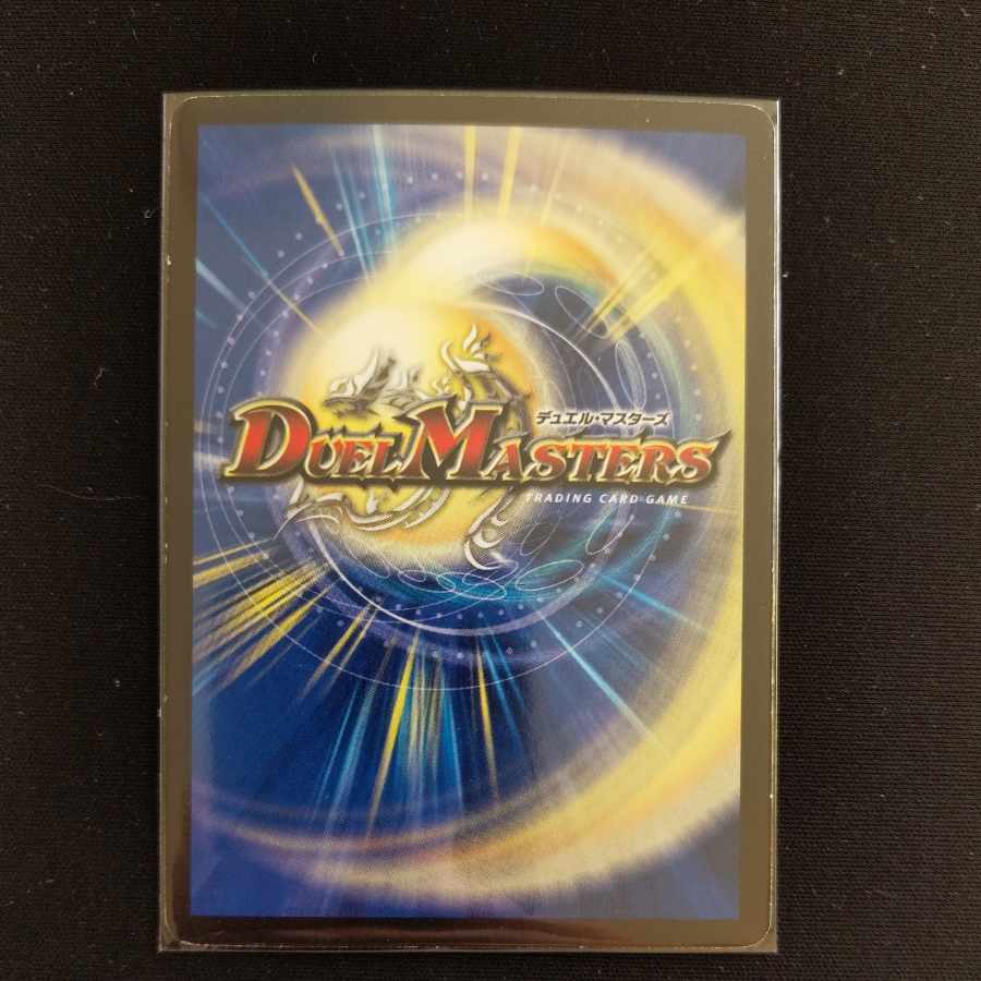 ダンディ・ナスオ① C 82/84/Y8 1枚