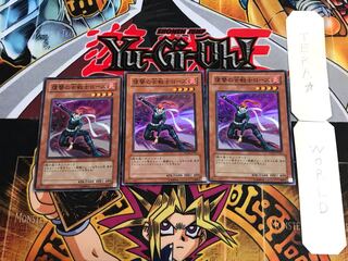 Rose, Warrior of Revenge EXP2 4 Super Set of 3 Tera.