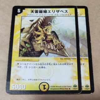 Ten Lightning Dragon Princess Elizabeth 2 pieces Junk