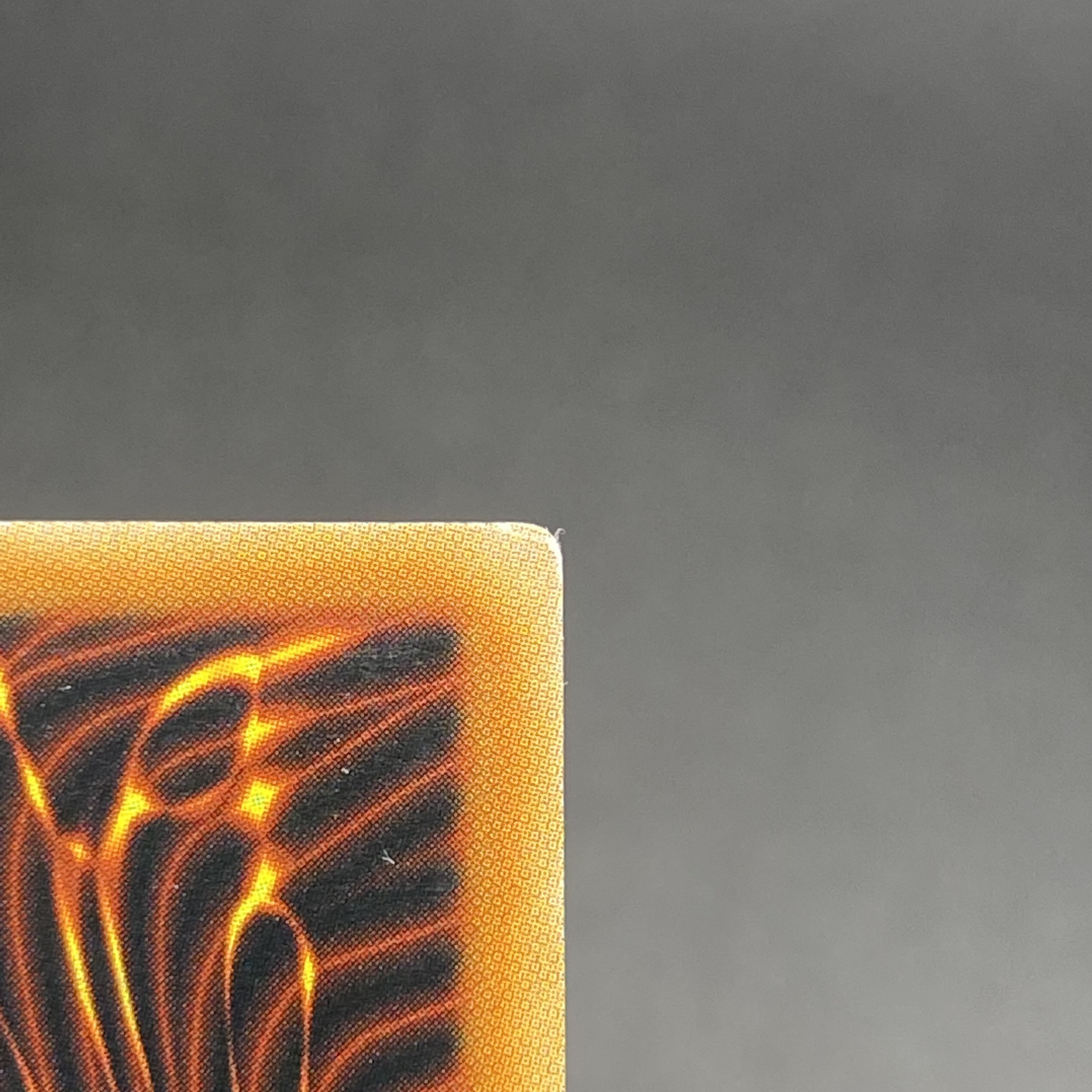 Water Master of the Holy Temple Relief English OP19-EN002