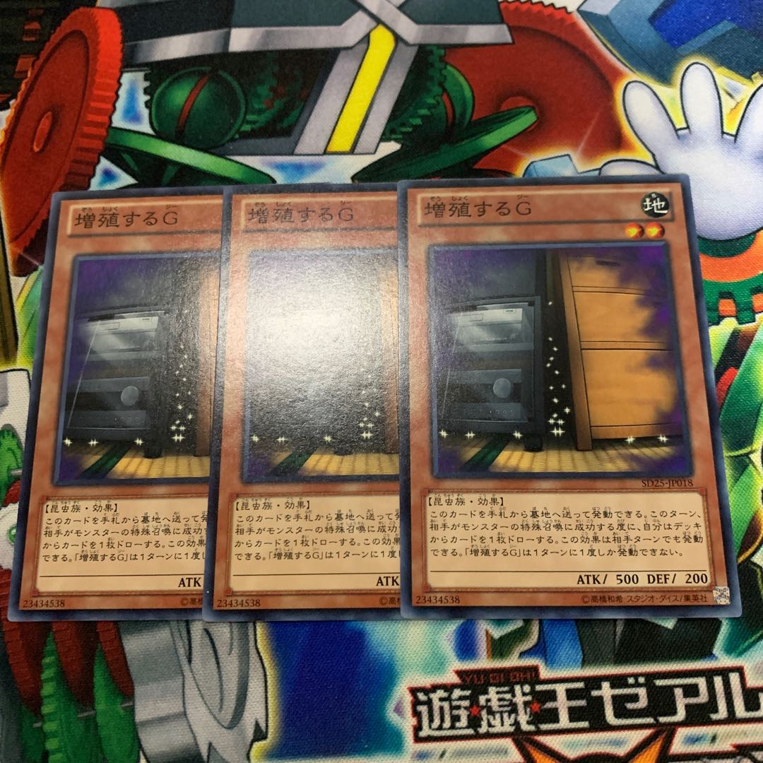 Maxx "C" Normal JP018