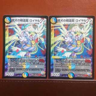 セット割引 賢犬の精霊龍ロイヤルワン