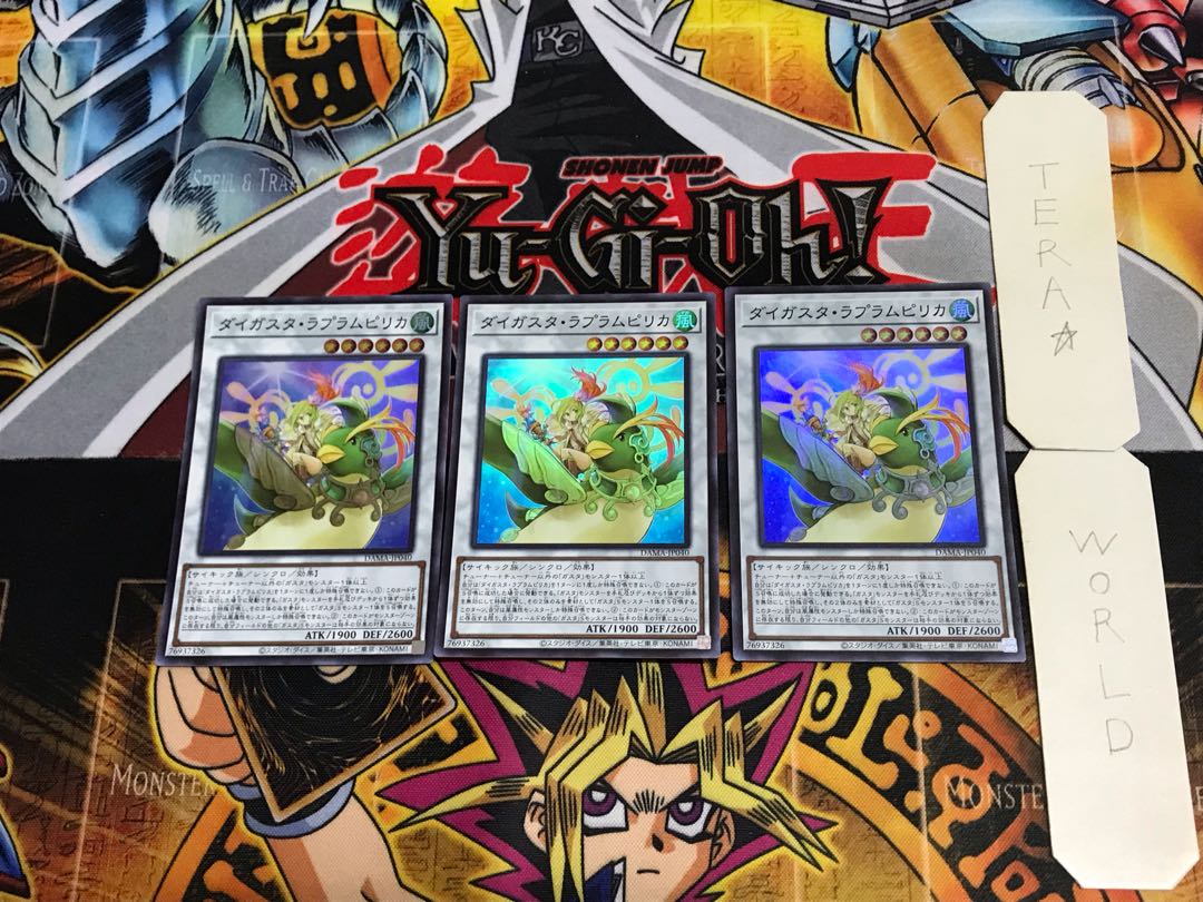 Daigusto Laplampilica DAMA 1 Super Set of 3 Tera